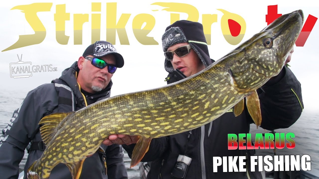 Strike Pro TV - Northern Pike Fishing in Belarus (с русскими субтитрами)