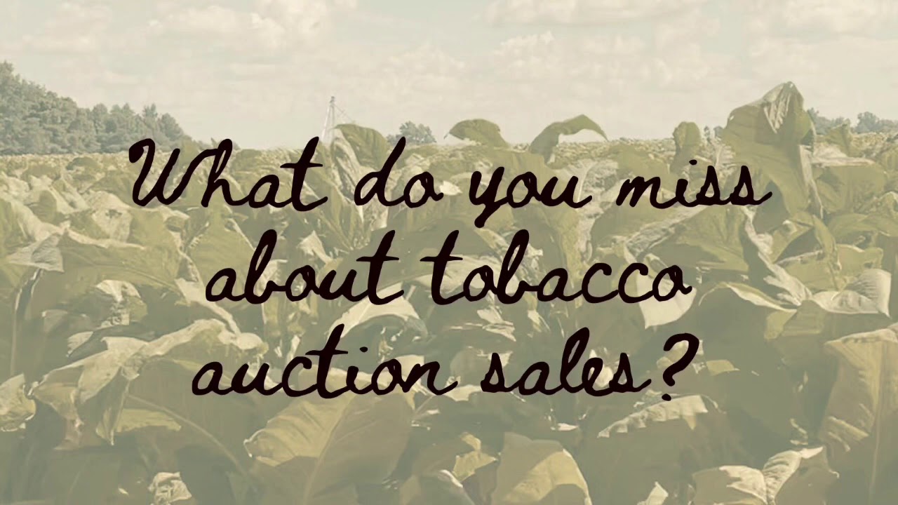 An Interview with Tobacco Auctioneer Gregg Goins
