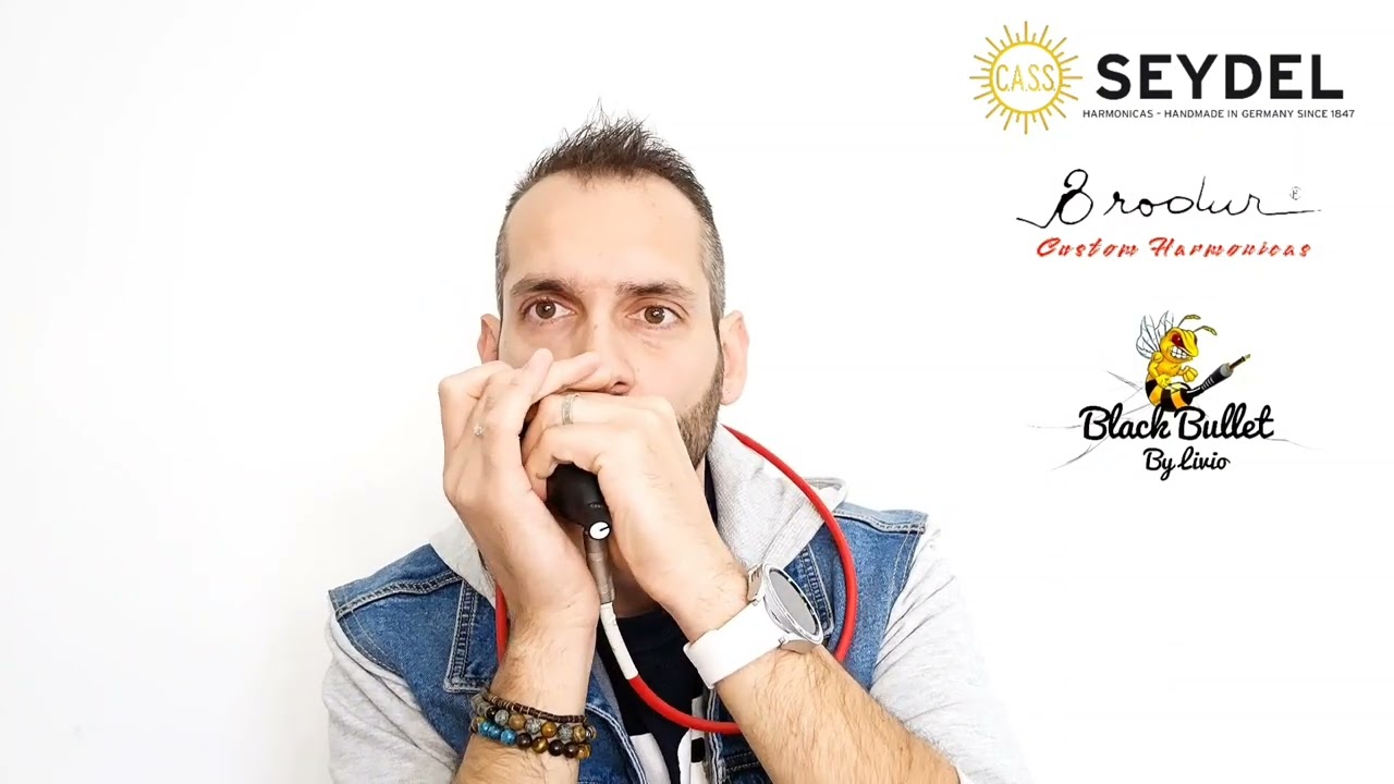 Blues Funk Rock - harmonica Seydel 1847 classic  custom Brodur - by Livio CAREDDU