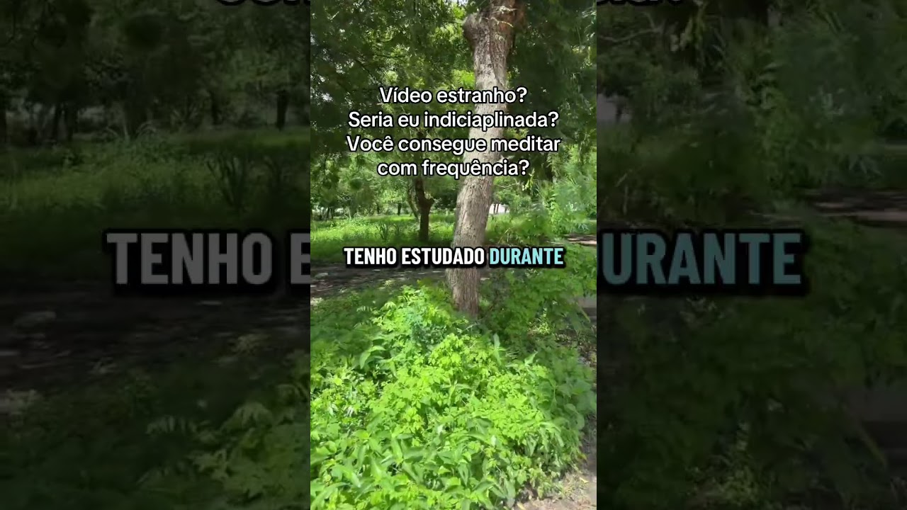 Caminhando e pensando. Indisciplina x meditação 