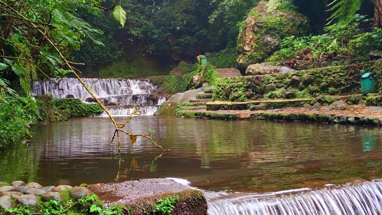 Gentle Forest Stream & Birds Chirping - Pleasant Nature Sounds, White Noise ASMR