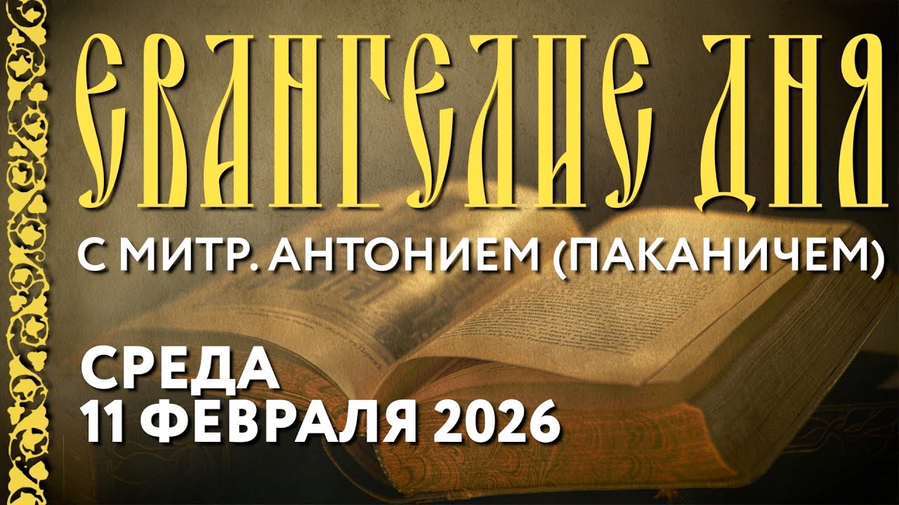Толкование Евангелия с митр. Антонием (Паканичем). Среда, 11 февраля 2026 года.