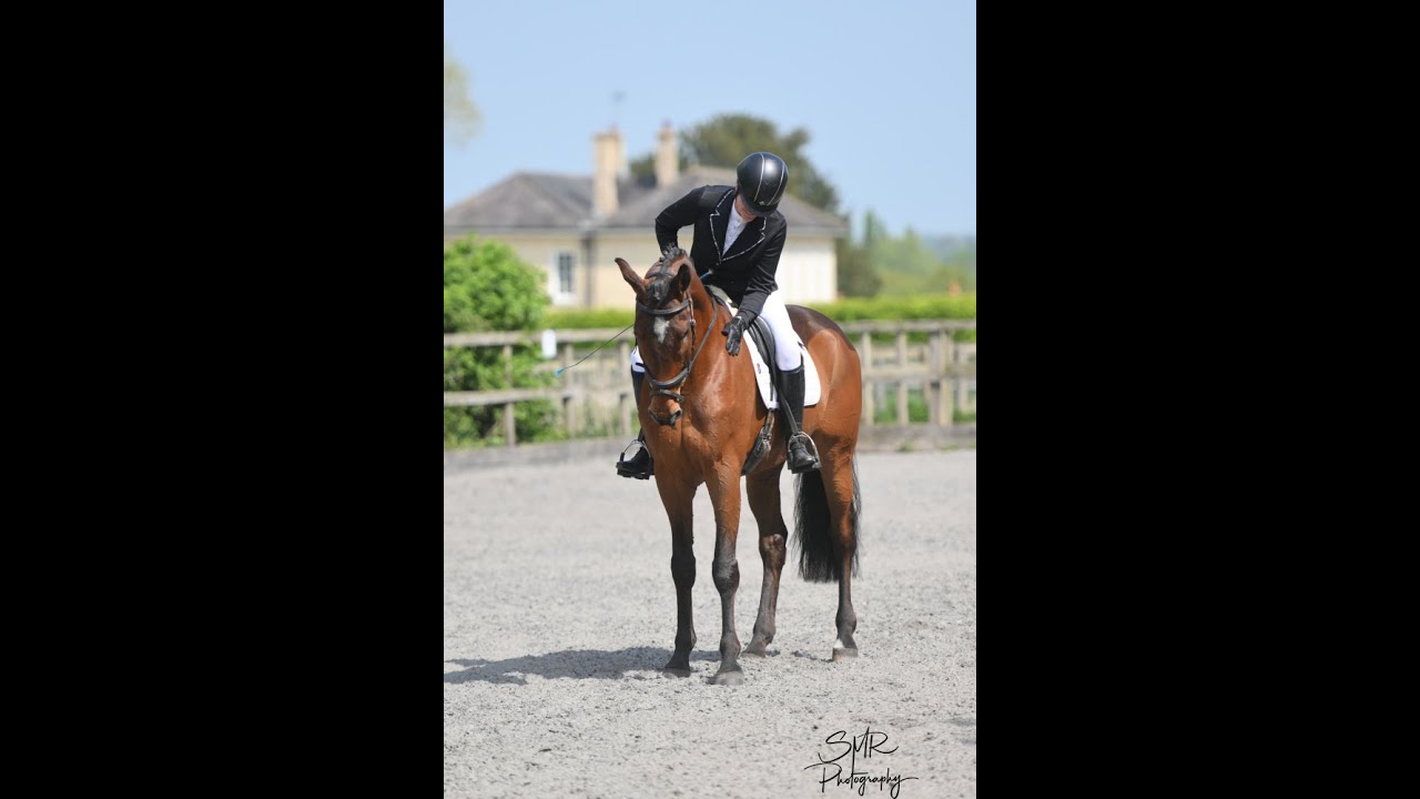 Sherlock Hacking Superstar For Sale