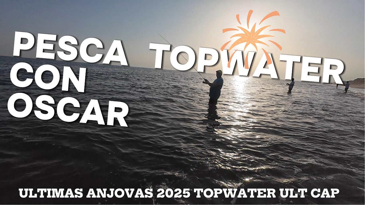 008 Ultimas Anchovas verano 2025 Pesca con Oscar Spinning Huelva Topwater