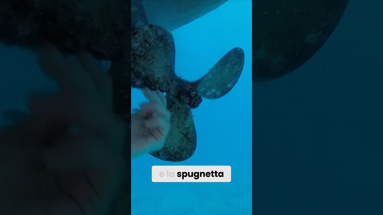 ⛵️MAI pulire lo scafo sott'acqua! 😱 Ecco PERCH&Eacute;!