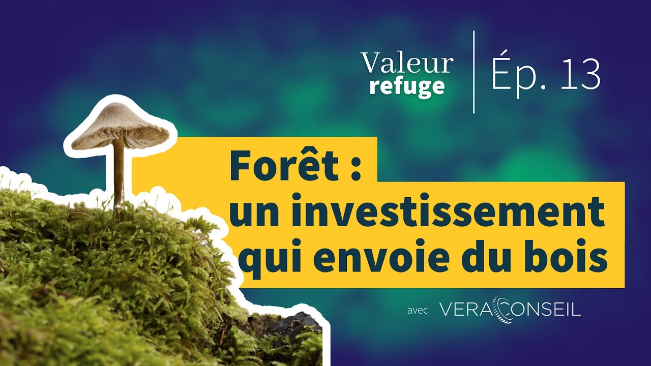 For&ecirc;t : un investissement qui envoie du bois | VALEUR REFUGE