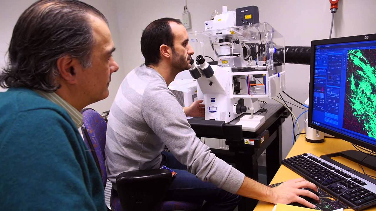 StemTherapy - Moving stem cells towards the clinic
