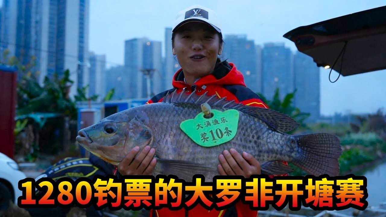 1280钓票的大罗非开塘赛，技术有个锤子用，就是看屁股#大涌渔乐钓场 #罗非鱼 #游钓黑坑