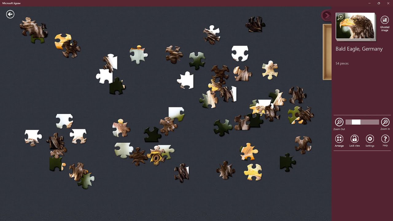 Jigsaw Puzzle ǀ Collection: Eagles ǀ Bald Eagle, Germany