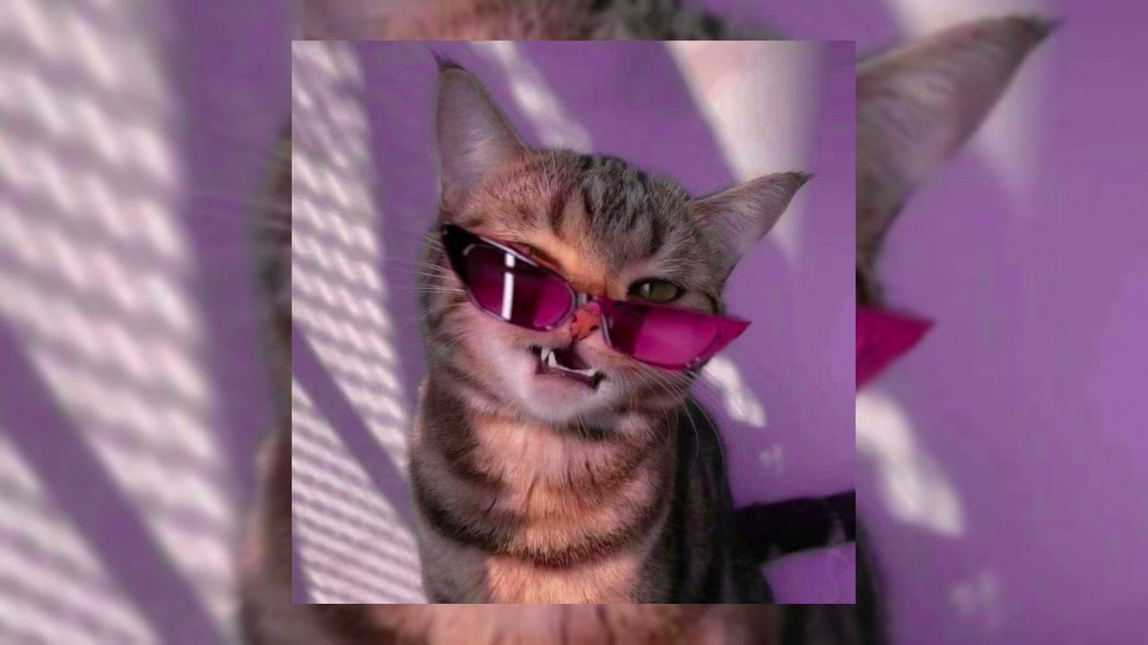 Tiktok weeb mashup #41