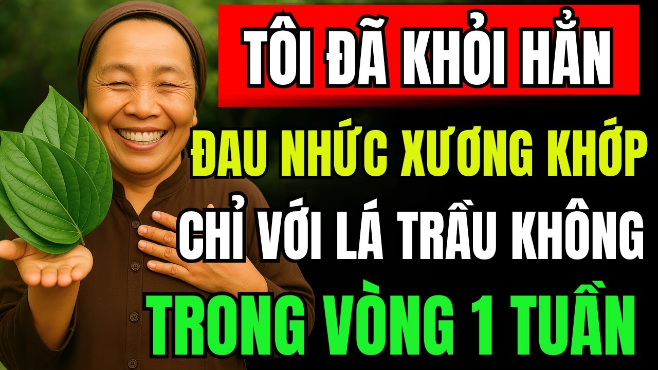 3 Cách Dùng Lá Trầu Không Giảm Đau Xương Khớp Tại Nhà Cực Kì Hiệu Quả Chỉ Sau 1 Tuần