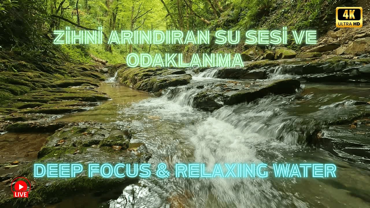 Zihni Arındıran Su Sesi ve Odaklanma Ders Çalışmak🍃 Focus & Relaxing Nature Water Sounds 4K 7/24
