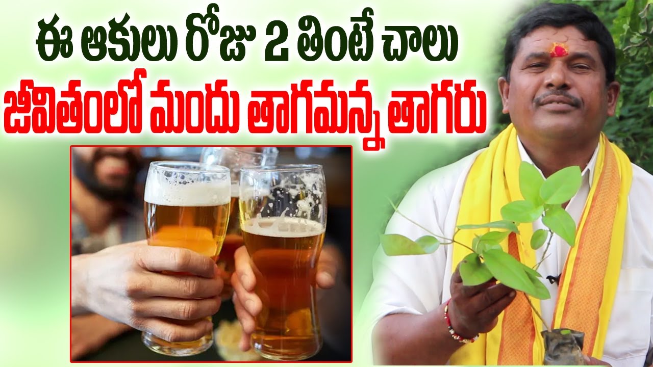 ఈ ఆకులు రోజు 2 తింటే జీవితంలో మందు తాగమన్నతాగారు #ayurvedamtelugu #teluguhealthtips