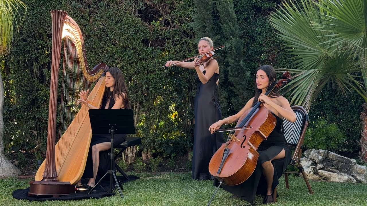 Belle Trio | Harp, Violin & Cello for Weddings and Luxury Events