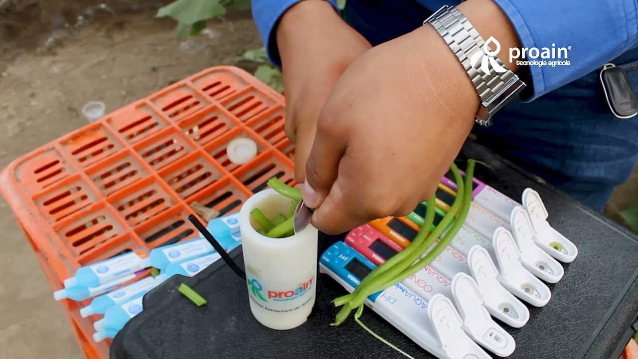 Monitoreo de nutrición y fisiología vegetal