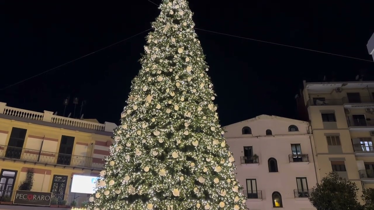 Salerno, acceso il mega albero di Natale in Piazza Portanova