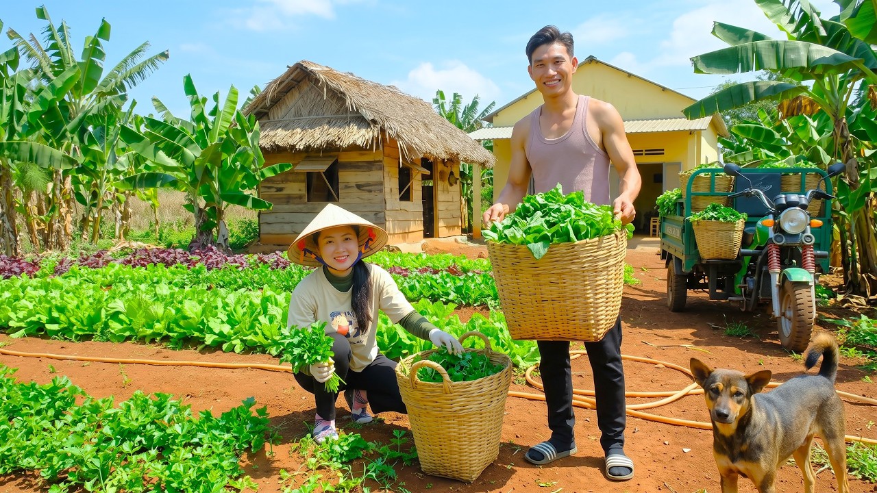 Harvesting Crisp Celery After 60 Days To Sell At Market | Cozy Meal With Brother & Animal Care