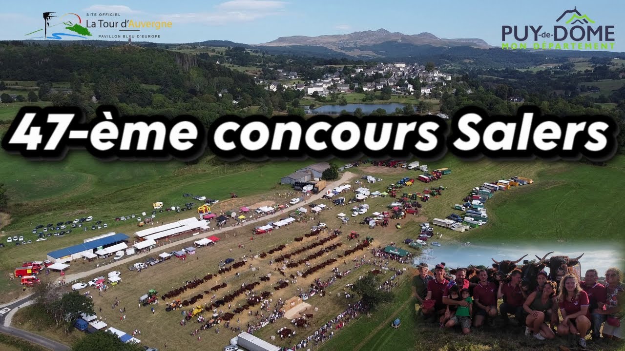 47 ° Concours SALERS à La Tour d'Auvergne.