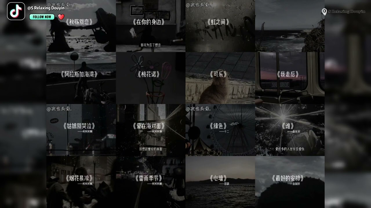 【抖音合集】“心碎了一地”《你要的emo大大大大大合集》- 抖音热歌TOP全网最火, 盘点最emo的歌曲『抖音神曲2024 : 我的歌聲裡』抖音2024年月很火的歌曲｜还等什么呢 赶紧去听吧