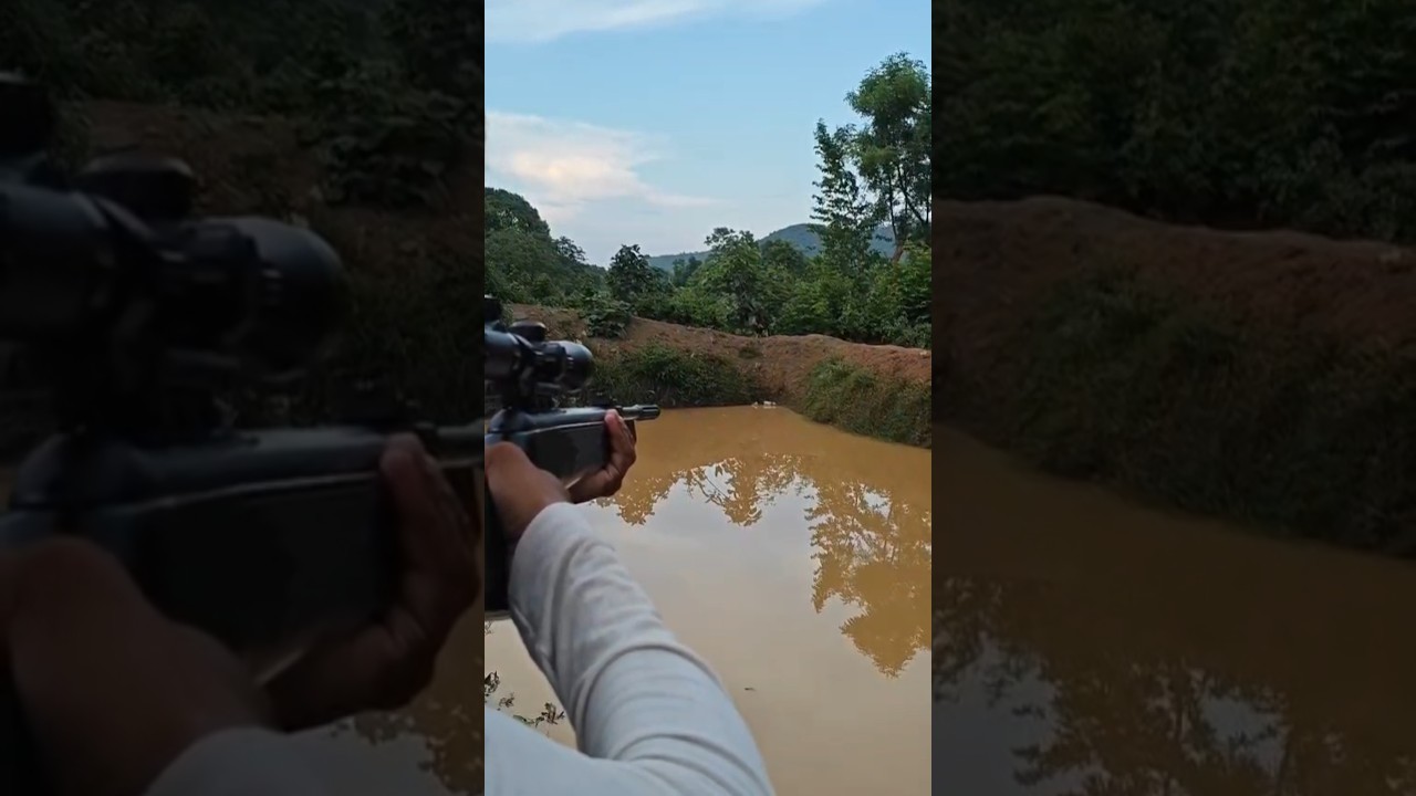 Shooting with pellet gun #pelletguns #trending #airgunhunting #shorts