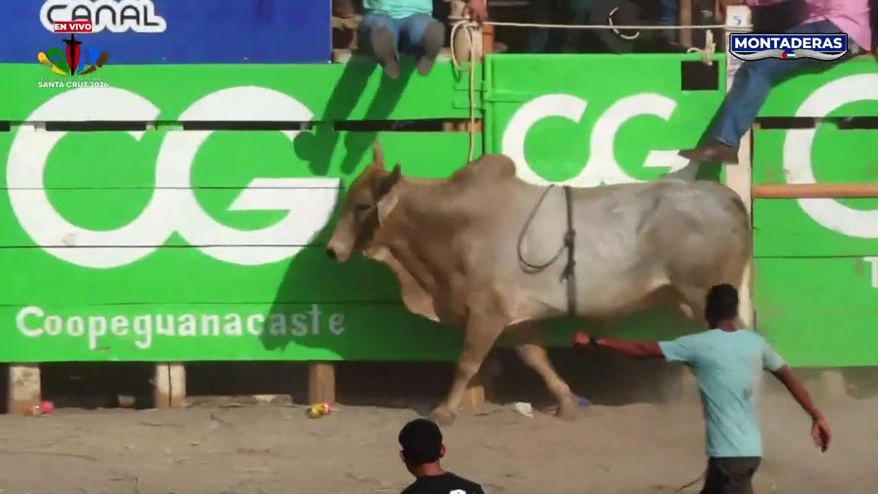 ¡Primera tarde de toros en las Típicas Nacionales!