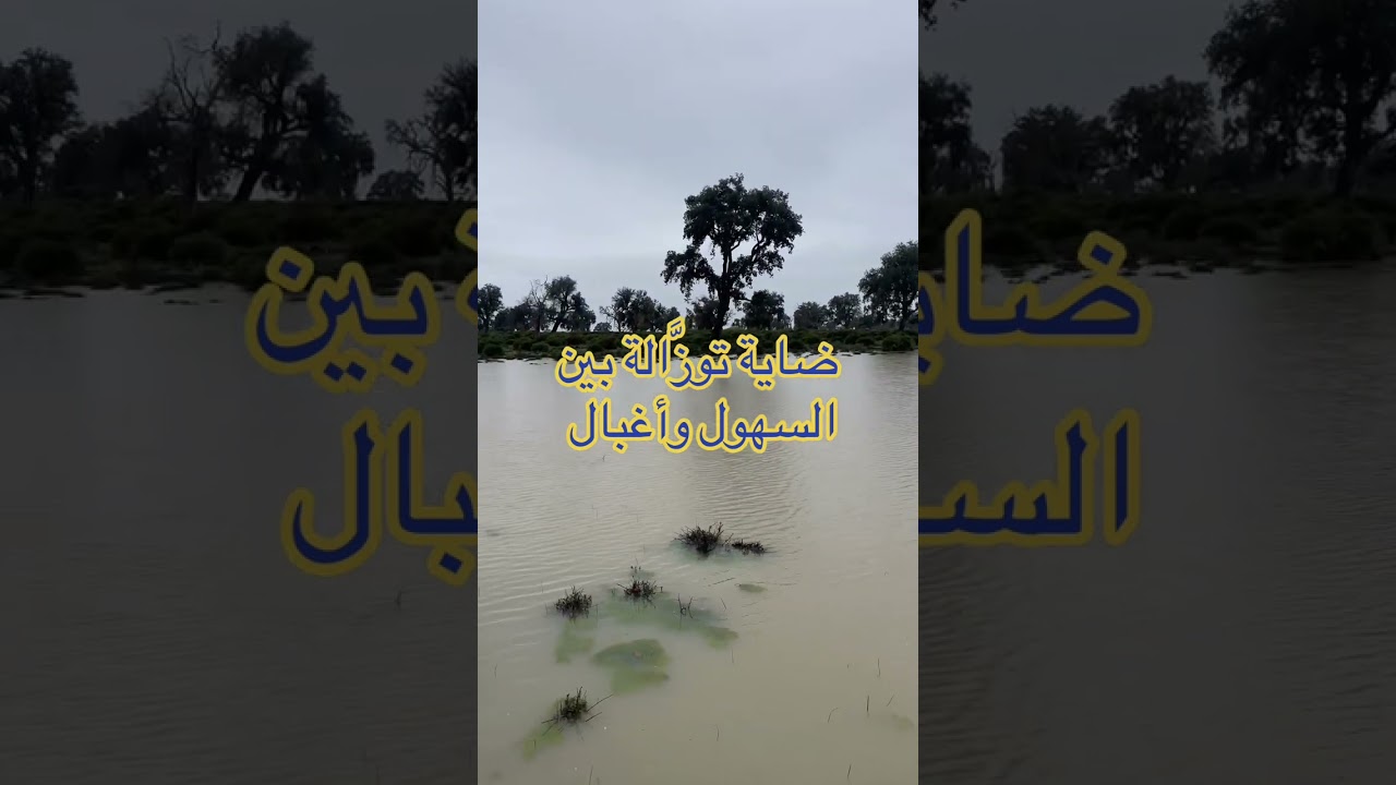 برك