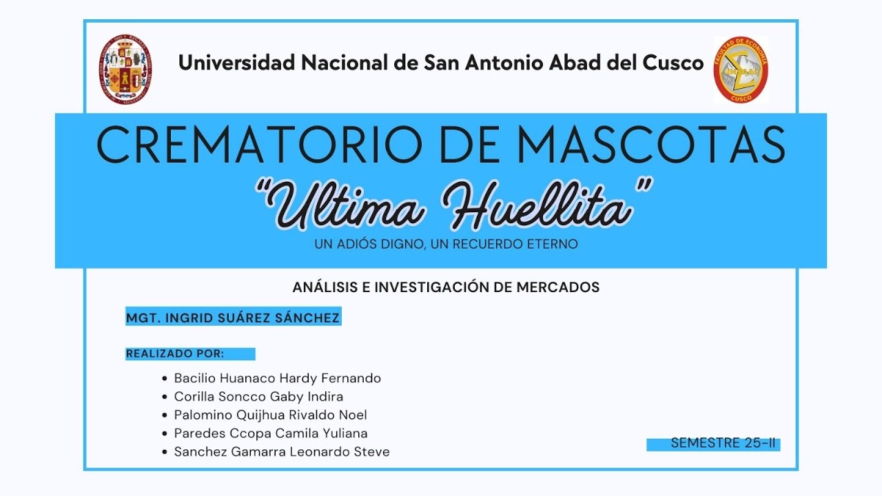 ANÁLISIS E INVESTIGACIÓN DE MERCADOS - Mini plan de negocios: 