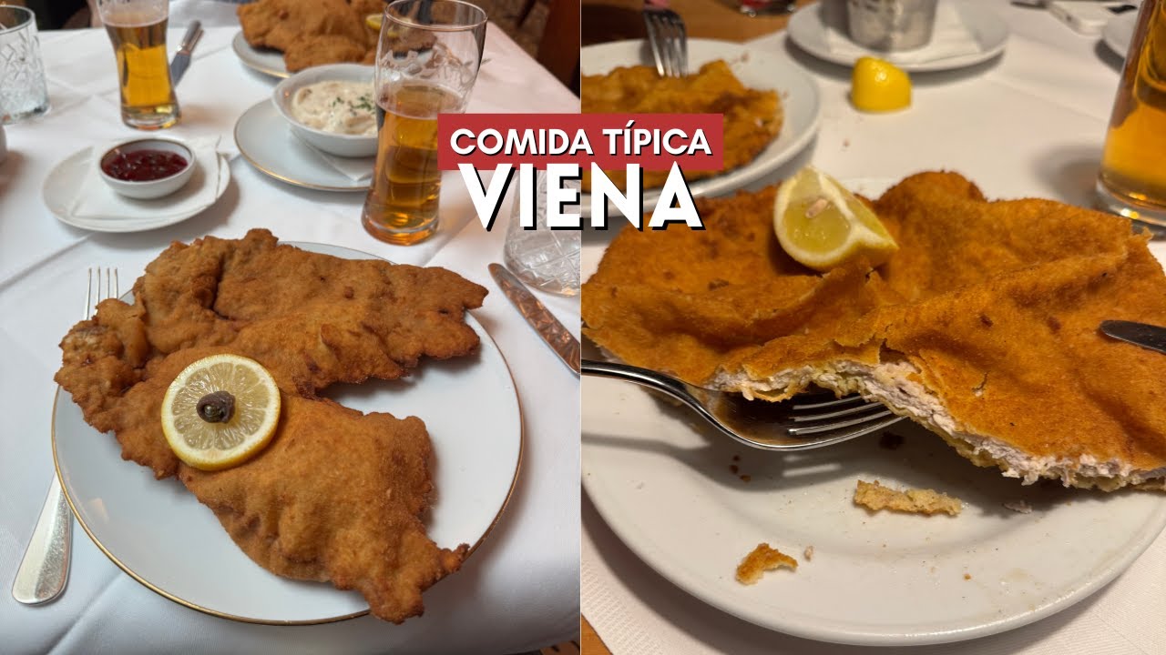 24 horas comendo em Viena | comidas típicas ✨❤️