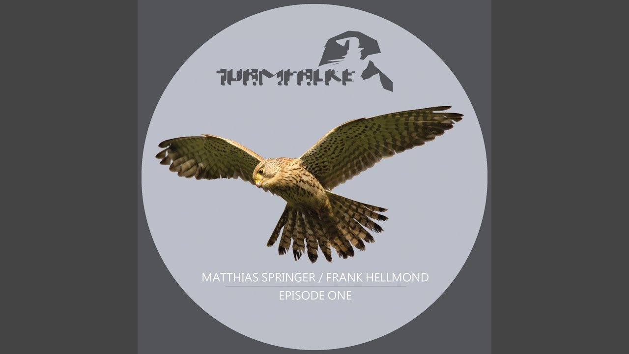 Divine Insolence (Matthias Springer Remix)