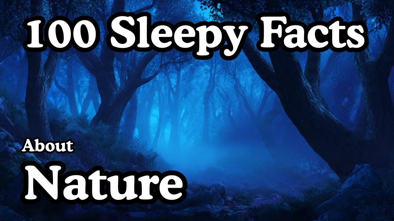 100 Sleepy Facts about Nature To Sleep To