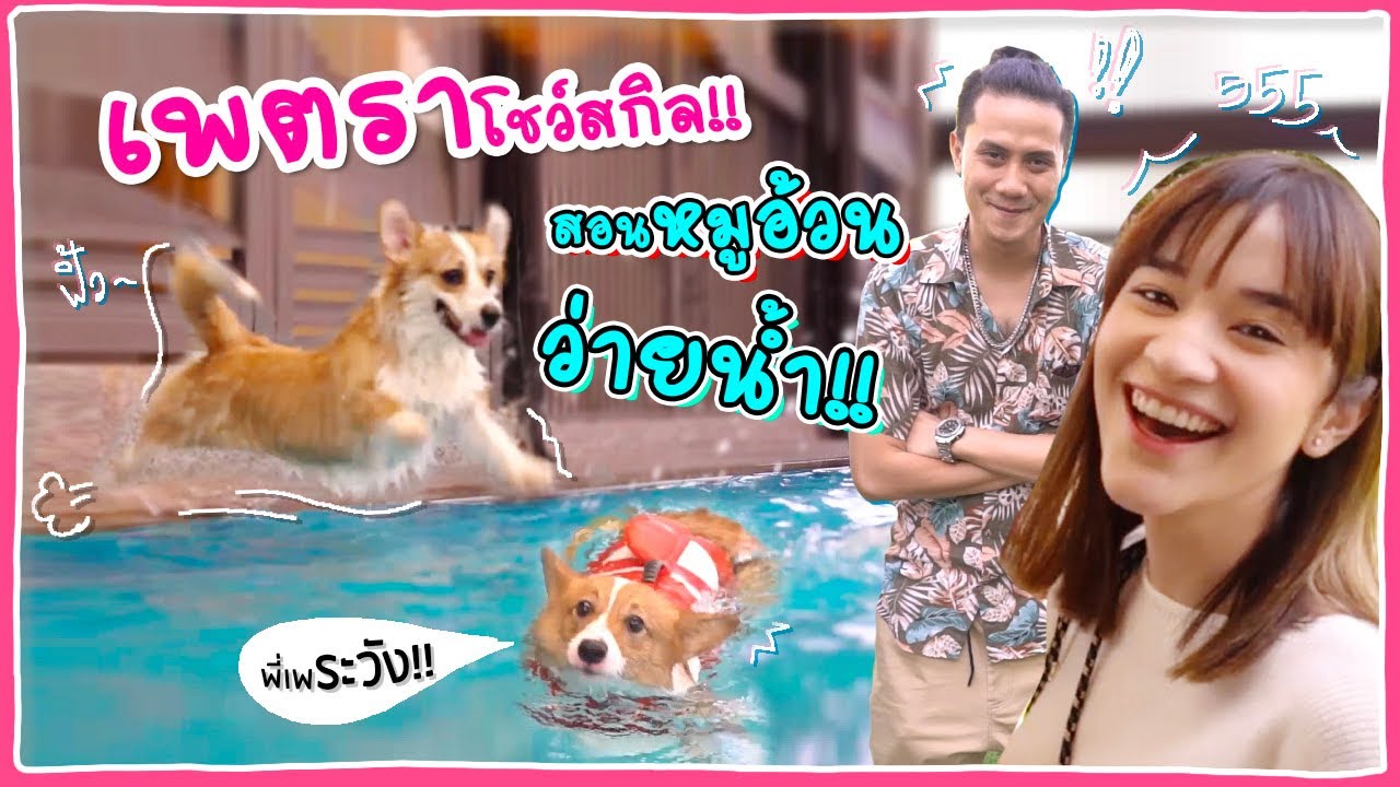 จะเป็นยังไง เมื่อเพตรามาสอนหมูอ้วน หมาพี่เป้วง Mild ว่ายน้ำครั้งแรก! 🍊ส้ม มารี x จรจัด 🍊