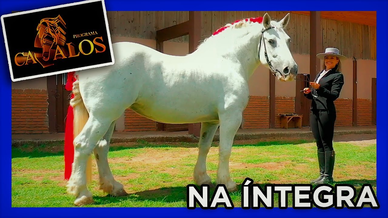 Cavalo PERCHERON - PROGRAMA NA ÍNTEGRA 30/04/2022