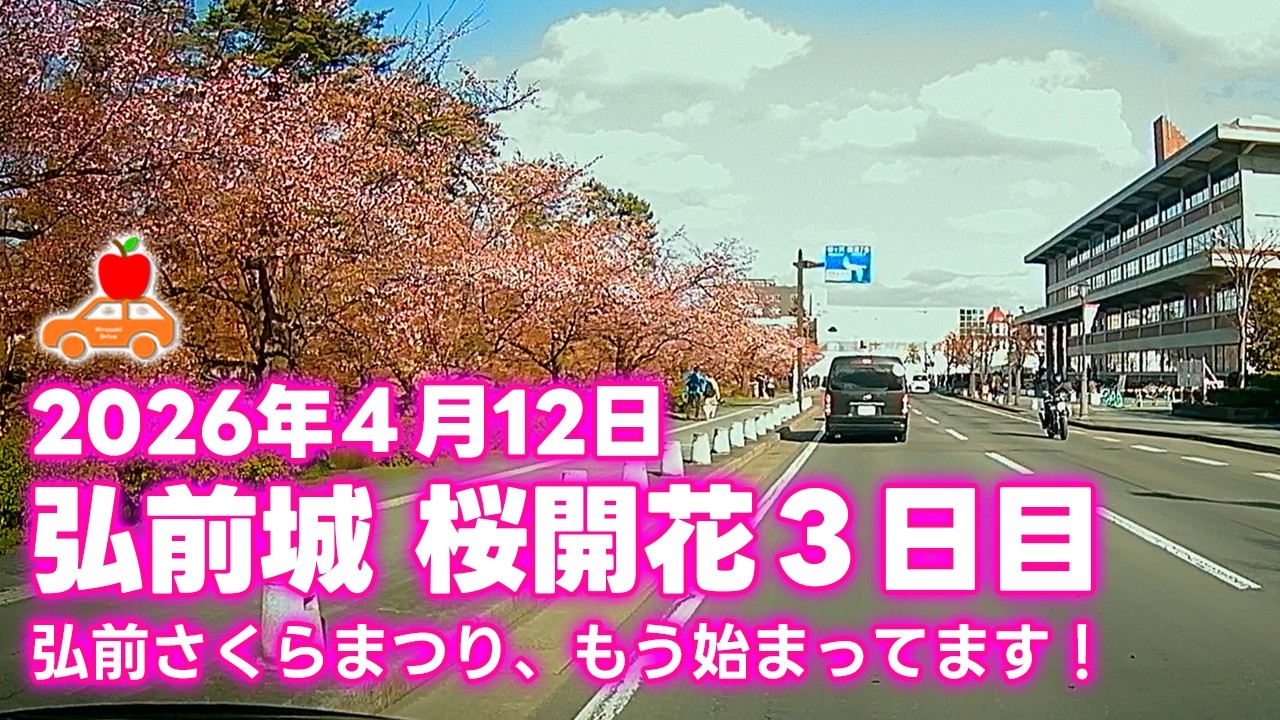 【青森県弘前市】速報！2026年4月12日 弘前城（弘前公園）桜開花３日目。外濠ドライブ映像です！弘前さくらまつりは4月10日から開催中！　#ドラレコ #桜 #青森県