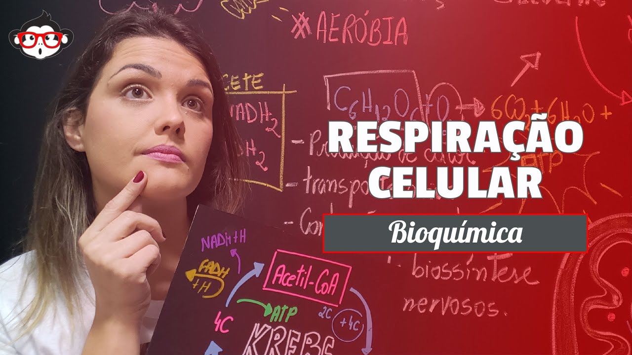 Respiração Celular Aeróbia: Glicólise, Ciclo de Krebs e Fosforilação Oxidativa  🐵