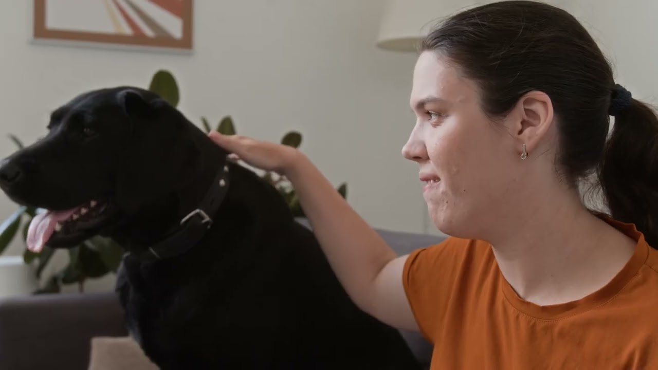 Chiens guides Aliénor - Un Noël étoilé