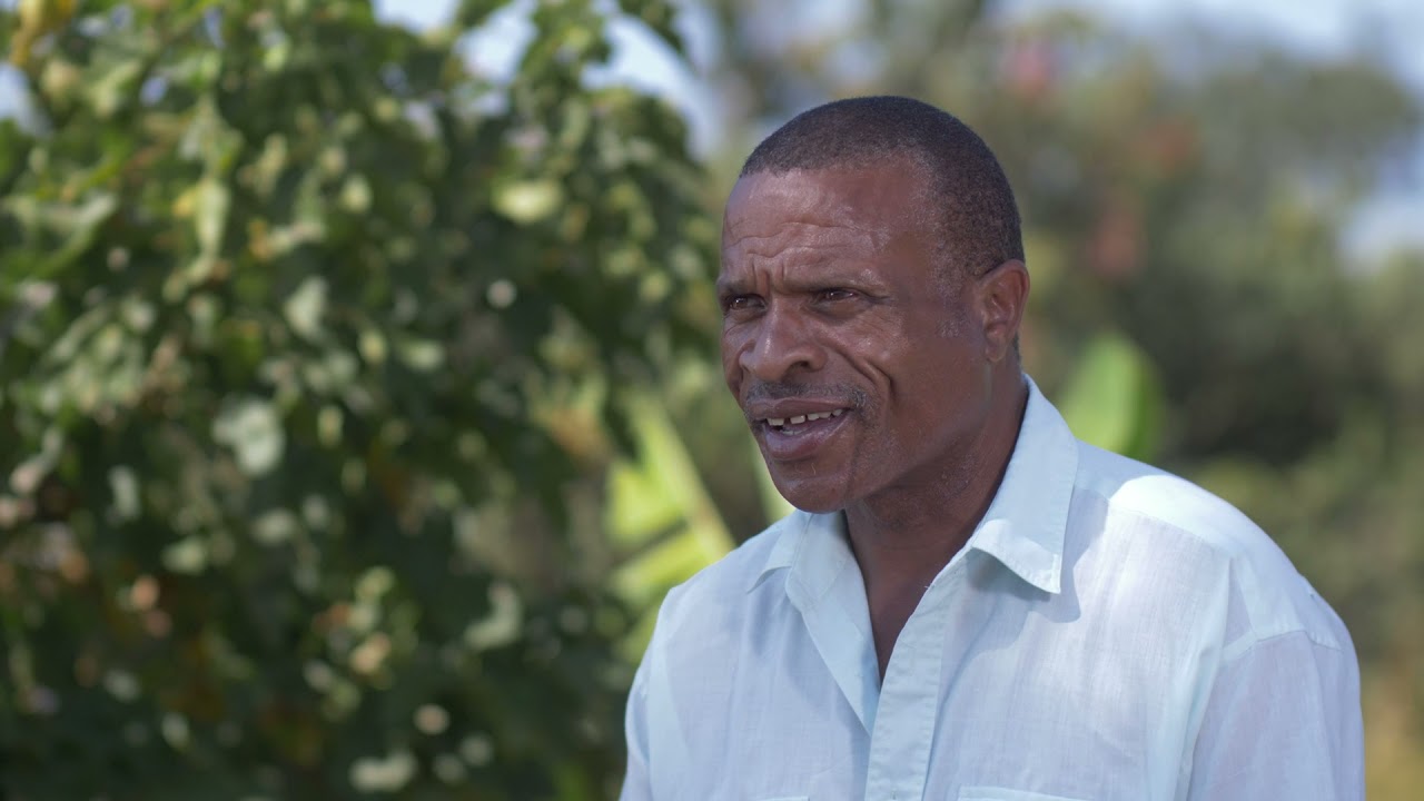 Water harvesting in a changing climate in Zimbabwe