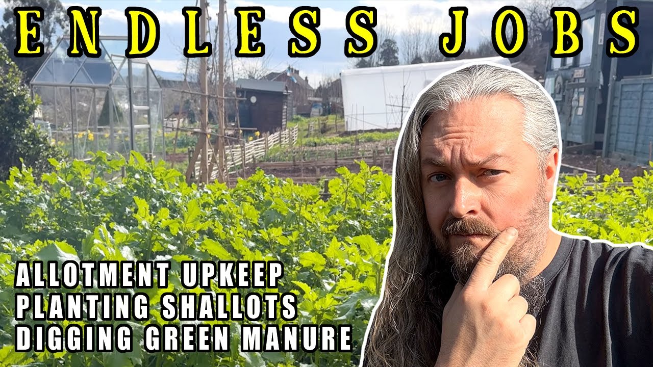 Working TOO HARD at the PLOT? | ALLOTMENT GARDENING UK