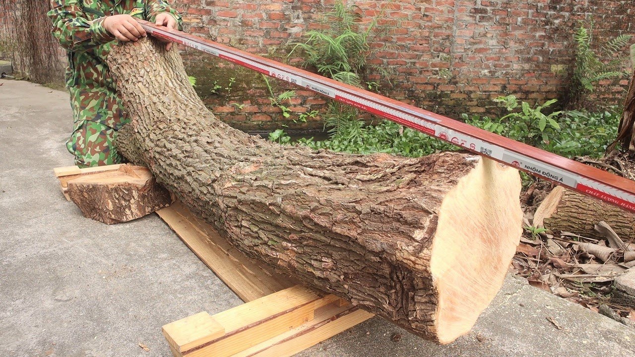 SUPERMAN Appears: How To Transform Natural Giant Tree Stumps into Unique Crafts Woodworking Passion?