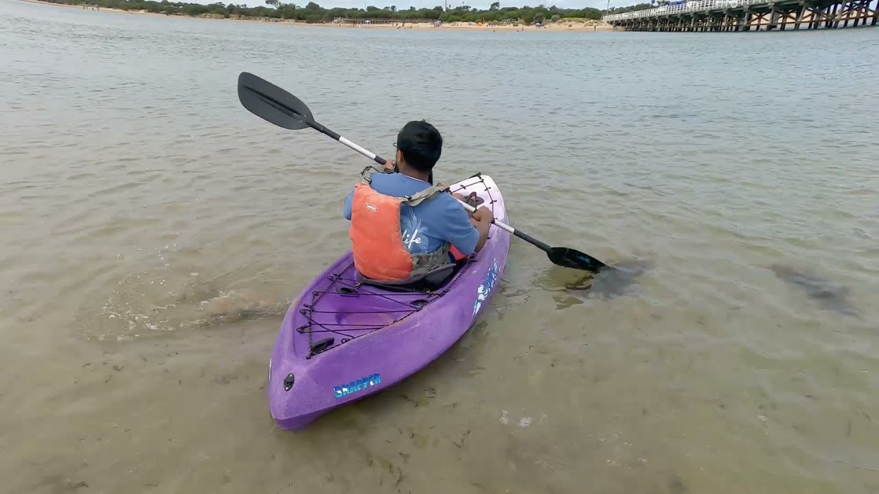 Kayaking in Barwon river @ Geelong