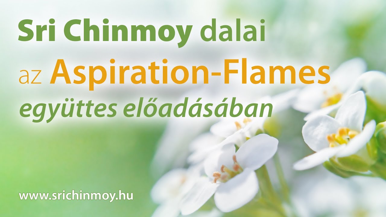 Aspiration Flames concert 8 I Sri Chinmoy's music for meditation I Spiritual mantras