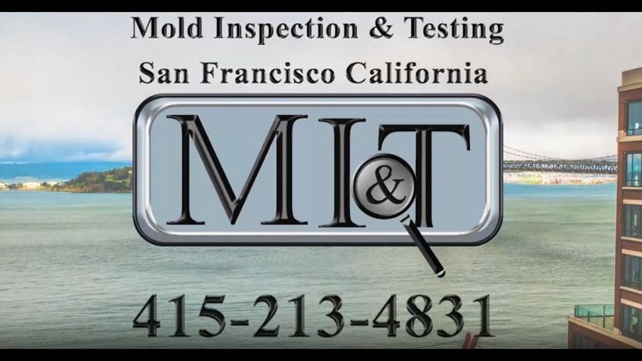 Mold Inspection & Testing San Francisco