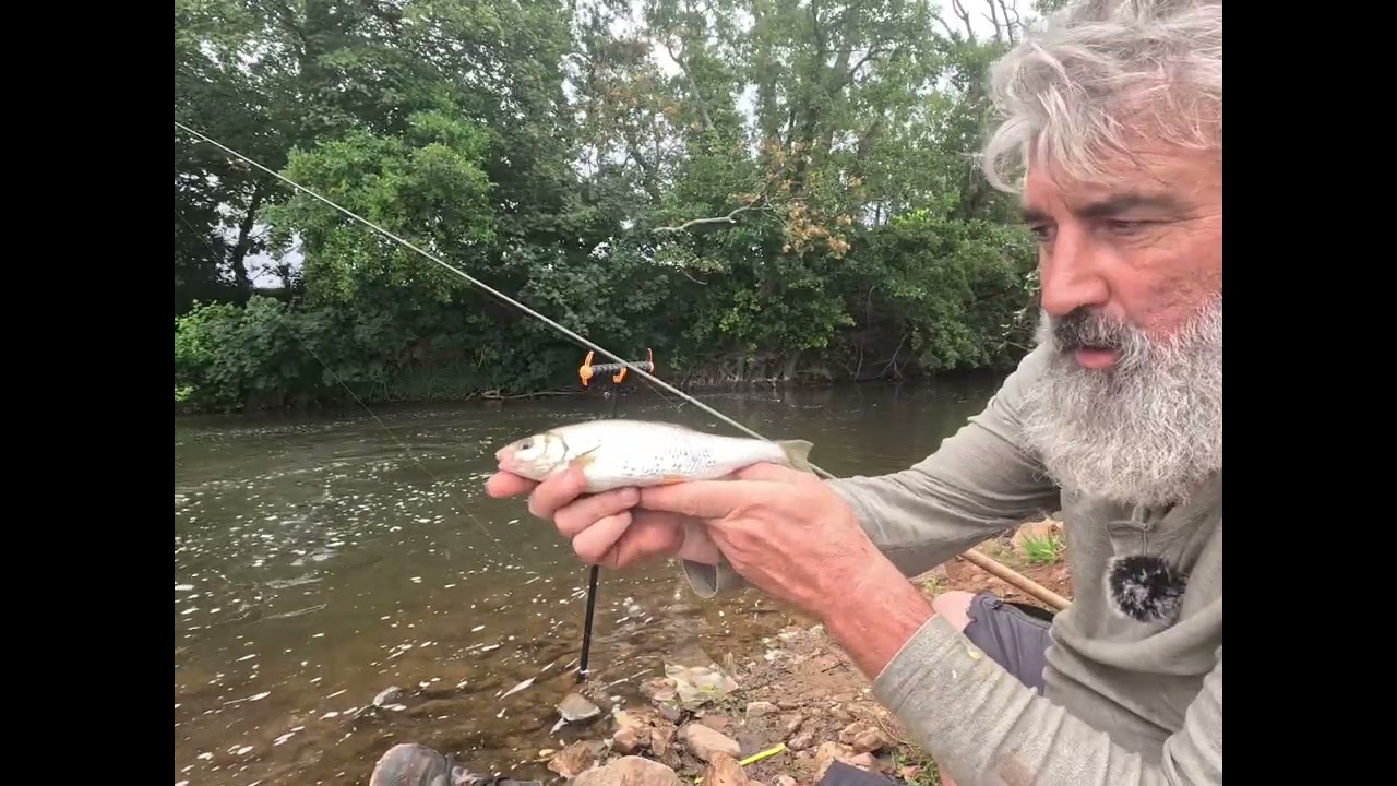 The riverculm Cullompton