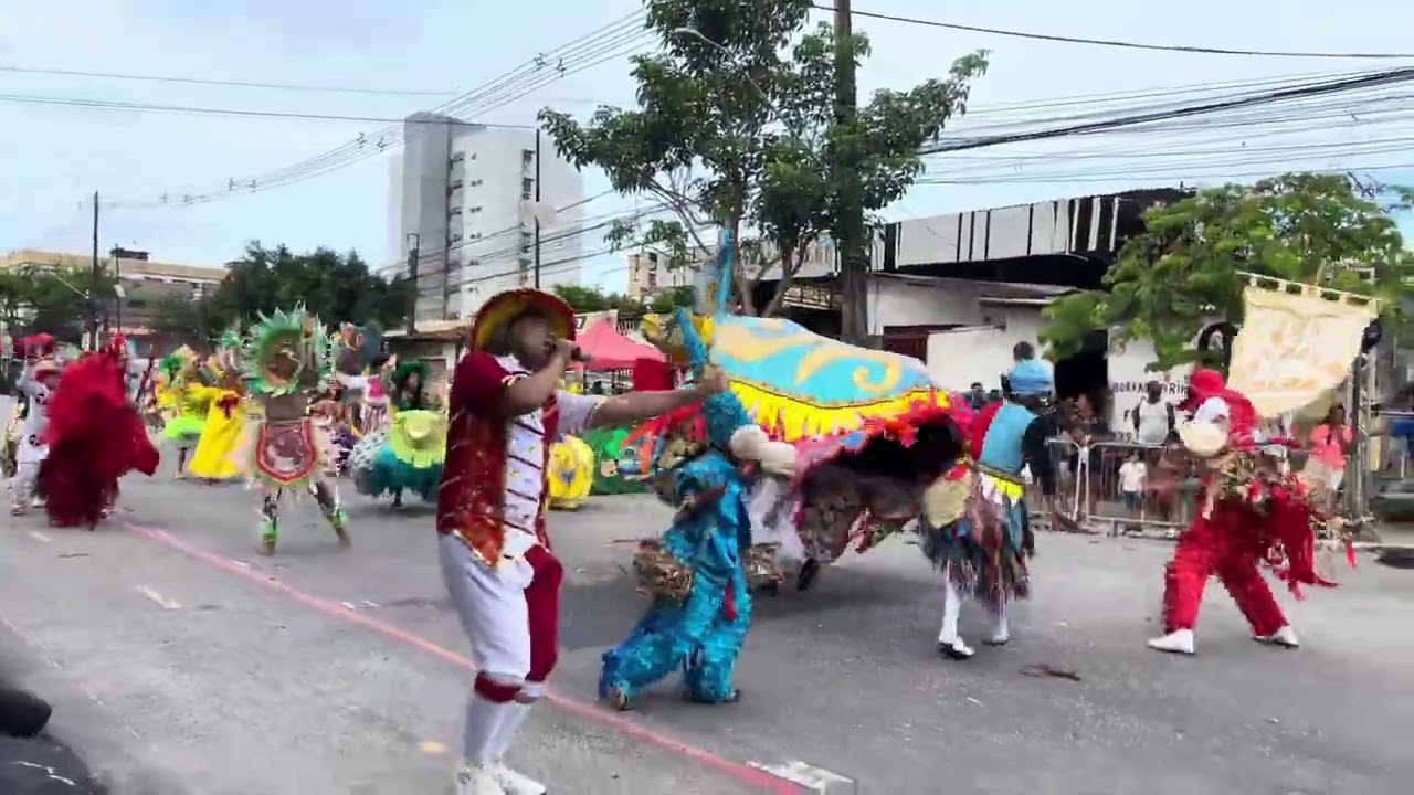 Boi Estrela Solar | Campeão do Grupo de Acesso - Concurso Carnavalesco da cidade do Recife - 2026