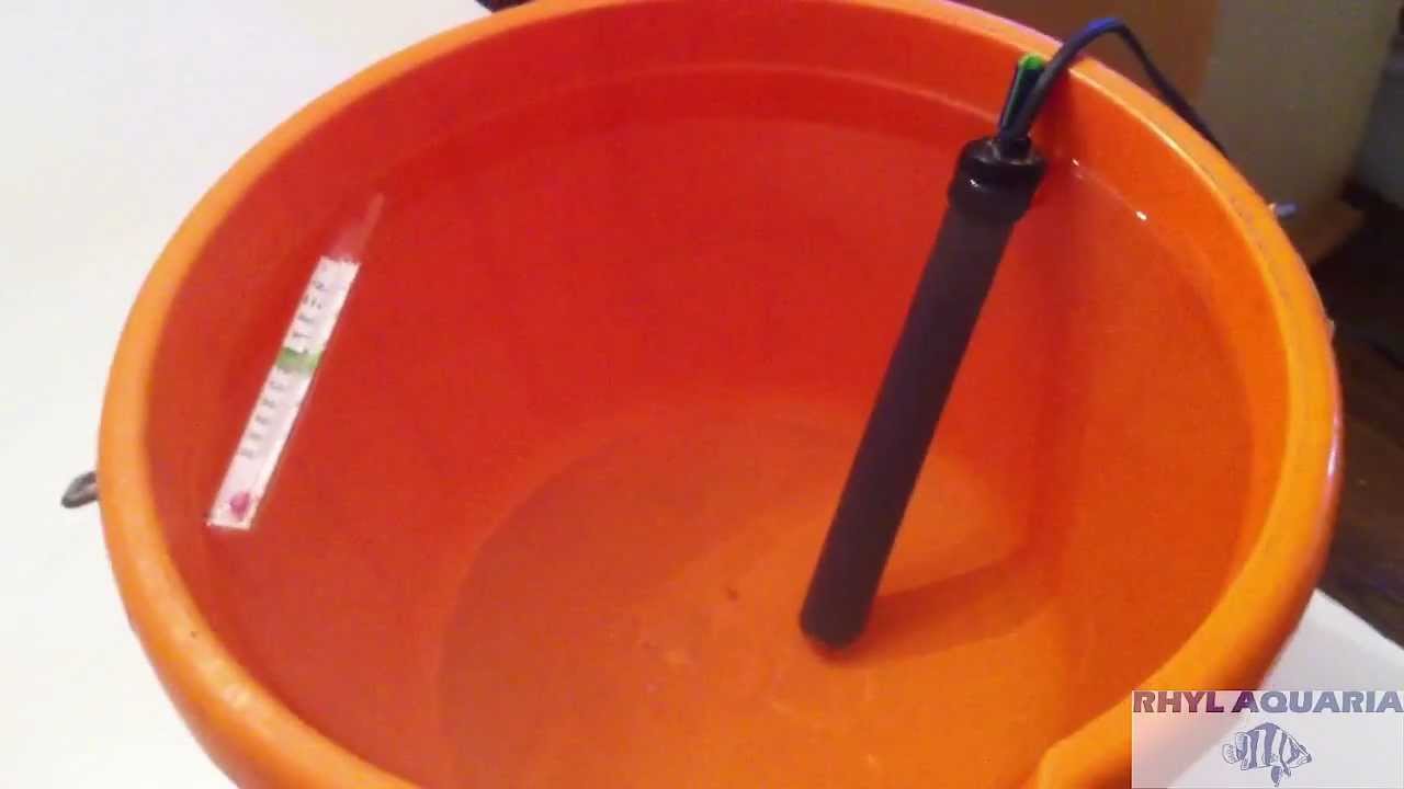 #3 - HOW TO SET UP A MARINE NANO REEF TANK - WATER CHANGES