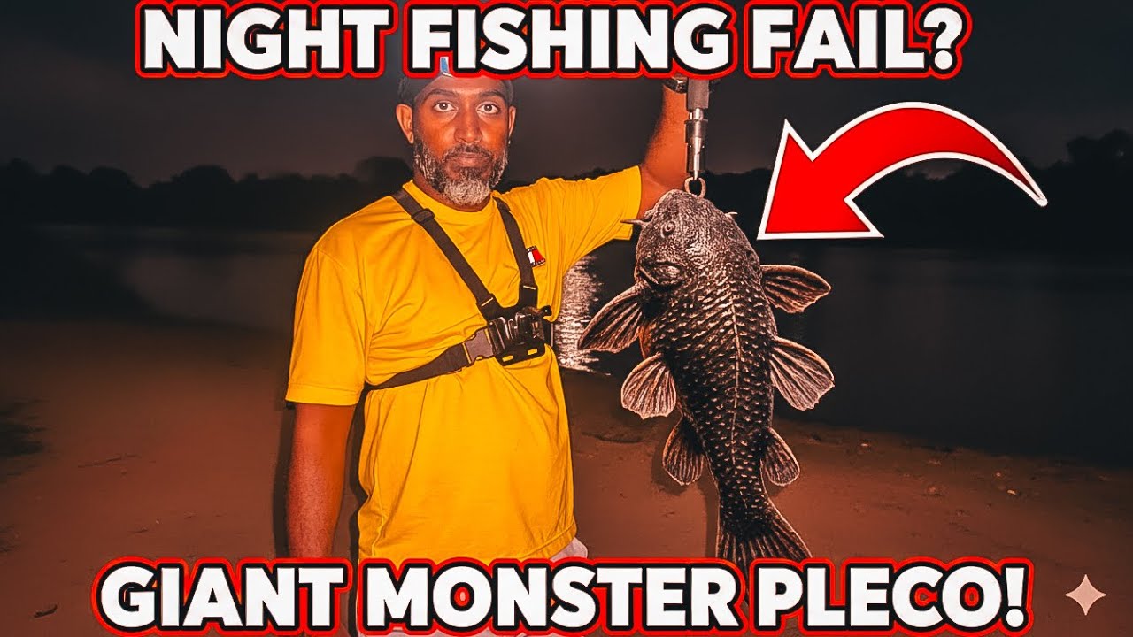 ඉස්සො දැලට පැටලෙන වදකාරයෝ | Unexpected River Monster! Huge Pleco Fish Shock in Sri Lanka 🐟 #fishing 