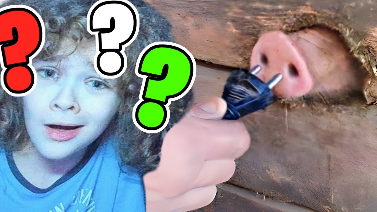 PRÓBÁLJ MEG NEM NEVETNI BARÁVAL #4