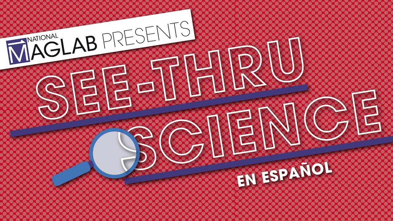 C&oacute;mo funciona la fuerza electromotriz.