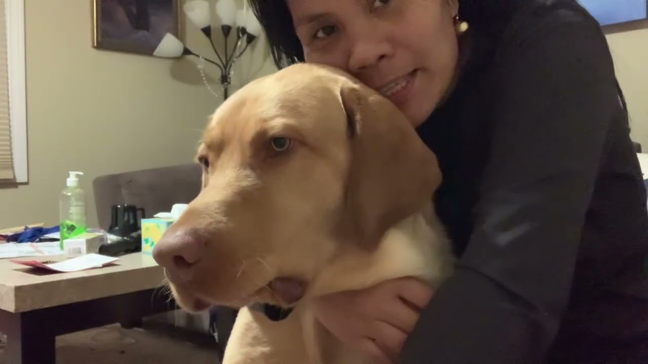 This dog miss me and I miss him too