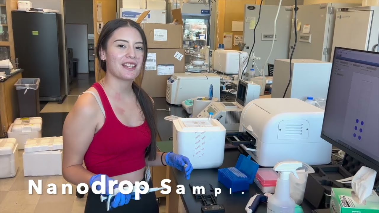 What impairs diabetic cells functioning compared to non-diabetic cells? (2023)