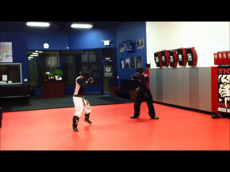 Tiger Schulmann's Mixed Martial Arts Wayne